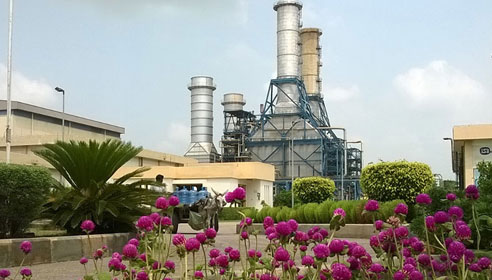 Image of a power station with purple flowers in the foreground