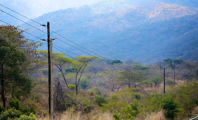 Photograph of forest area at the base of a mountain with electricity poles and lines in the foreground