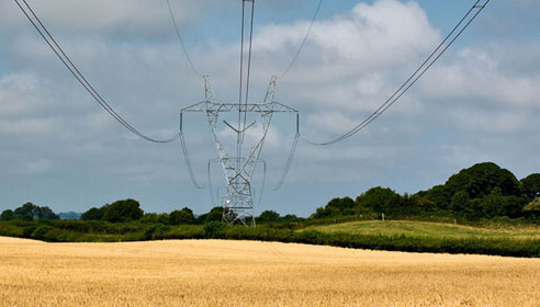 Photograph of pylon and electricity lines in a wheat field